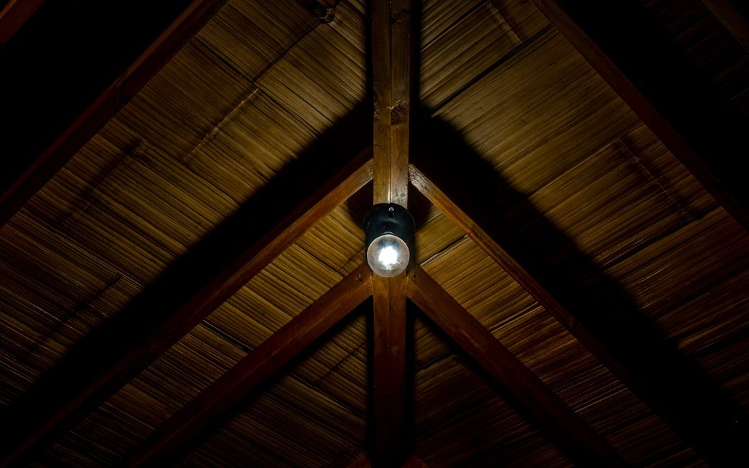 How Different Lighting Conditions Affect Your Lens Choice