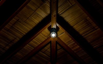 How Different Lighting Conditions Affect Your Lens Choice