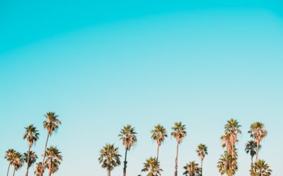 Understanding Digital Eye Strain: Simple Fixes That Work